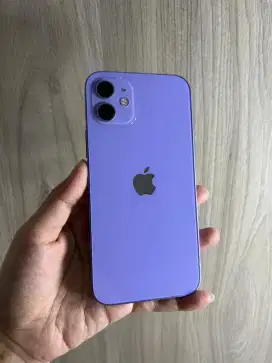Iphone 12 64GB Beacukai (ungu dan putih)