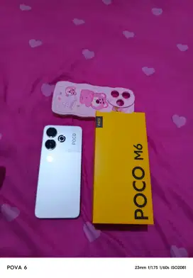 Poco M6 8/256 silver