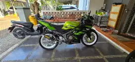 NINJA RR last Edition