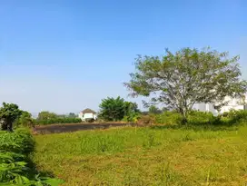 Tanah Murah Merjosari Lokasi Strategis Dekat UB dan UMM