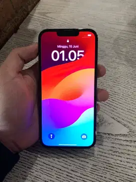 Iphone 13 Pro 256 gb Ibox