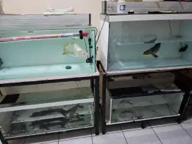 Jual rak holo+tank+peralatan aquarium
