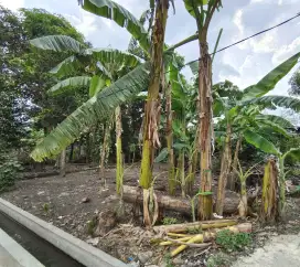 Tanah Strategis Klaten Tengah