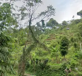 Dijual Tanah Berbukit di Desa Pagerwangi Lembang