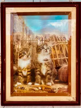 Jual Lukisan Kucing Semi Timbul