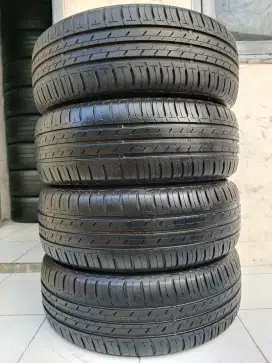 Ban 205 55 R17 Bridgestone Ecopia XPANDER