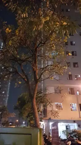 Ada sewa transit dan harian Apartemen Kalibata City 2BR Jakarta
