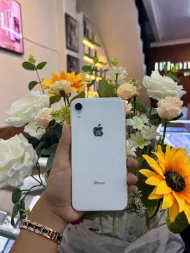 iphone xr ex ibox