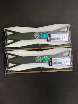 ADATA XPG SPECTRIX D60G DDR4 3600MHZ 32GB (2x16GB)