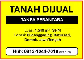 DIJUAL TANAH SHM, Luas, Lokasi Strategis, Pucanggading, Semarang