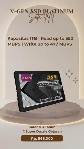 V-GEN SSD PLATINUM SATA III