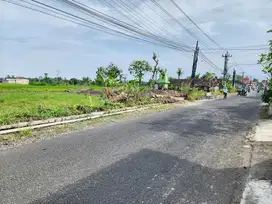 Tanah Sleman Dijual Murah Tepi Jalan Aspal
