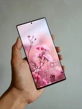 Samsung Note 20 Ultra SEIN Normal