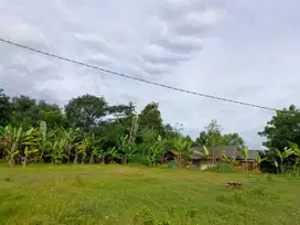 Tanah Kavling Cibarusah Dekat Kawasan GIIC Deltamas bisa di Angsur 12X