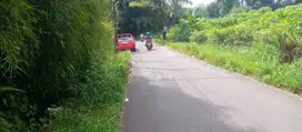 Dijual Tanah Murah Bogor Cicil 30X Tanpa Bunga Dekat Highland Resort