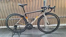 Polygon Strattos S3 German 48cm