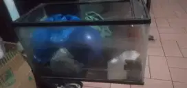 Aquarium 60*30*40