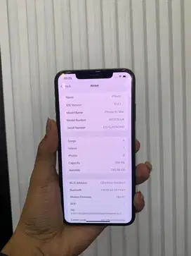 Iphone xs max 256gb fulshet all op