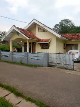 Rukam Nempel Jalan