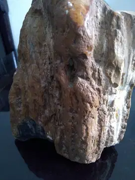 batu fosil kayu tua