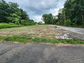 Tanah Jalan Kaliurang Siap Bangun Hunian Atau Kost Di Sardonoharjo SHM