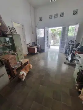 Murah Rumah Klasik Tengah Kota Sayap Riau Jalan Nangka