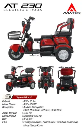 SEPEDA LISTRIK AT 230 ELECTRIC 3 RODA