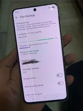 Samsung S21 Fe 8/256gb
