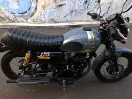 Kawasaki W 175 Cafe Racer 2024