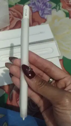 Apple Pencil (USB-C)