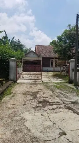 Dijual Murah Vila dan Sawah
