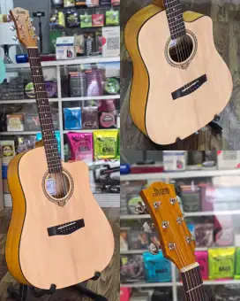 Gitar Akustik Original Dluxe DW 100 (Baru)