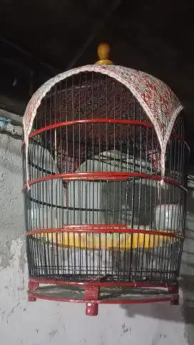 Jual kandang perkutut 150 nego minat wa