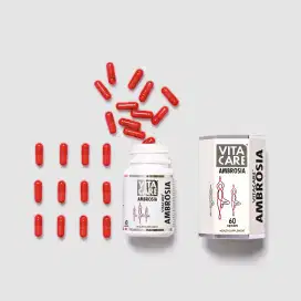 Distributor ambrosia stemcell booster terdaftar BPOM telur hari ke 9