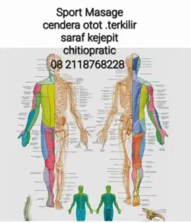 Sport Massage .spcial saraf kejepit