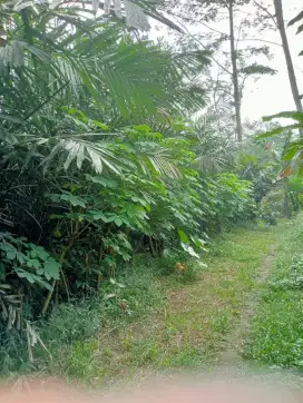 Dijual Tanah 5874m2 6SHM Lokasi Desa Girikerto Sleman