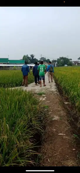 DIJUAL TANAH LAHAN SAWAH Produktif di Bojongsoang Buahbatu, Bandung