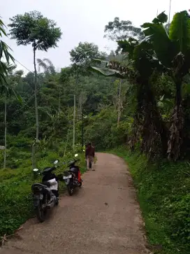 Jual tanah pingir jalan luas 4ha lokasi buninagara soreang