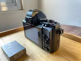 Mirrorless Olympus E-M5