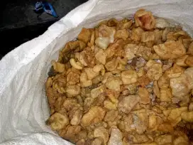 RAMBAK AFKIR untuk pakan ternak