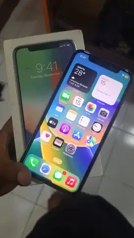 Iphone X 256GB All Operator