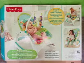 Fisher-Price Infant-to-Toddle Rocker - Kursi Bayi Portable