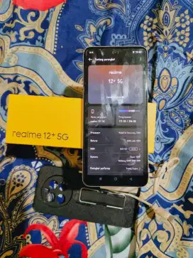 Realme 12 Plus 8+8 256 GB