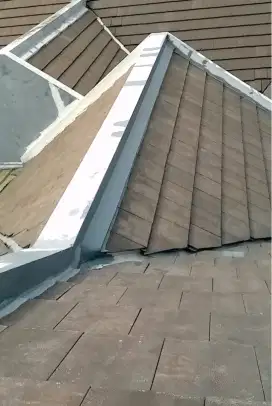Tukang cat/atap bocor/service rumah