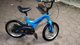 Jual sepeda united next 16 inch