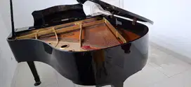 Yamaha grand piano Gold Plate
