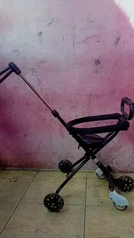Stroller traveling exotic