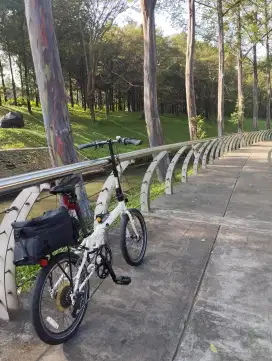 DAHON SPEED P-8