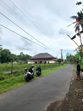 Tanah Sawah Apik di Area Sejuk Hargobinangun Pakem