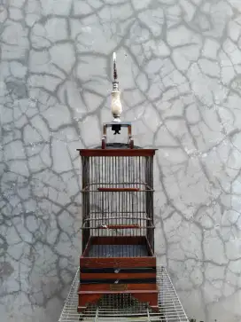 Sangkar rep pcmi